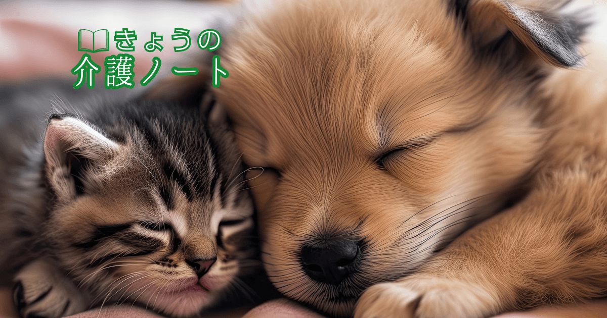 心身の自立を促すペットの役割と、ケアマネジャーが直面する「現場の実態」 | きょうの介護ノート 2026/01/20