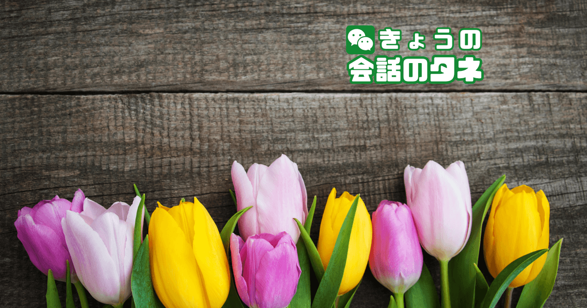 【きょうの会話のタネ|2026/3/17】 テーマ:好きな春の花