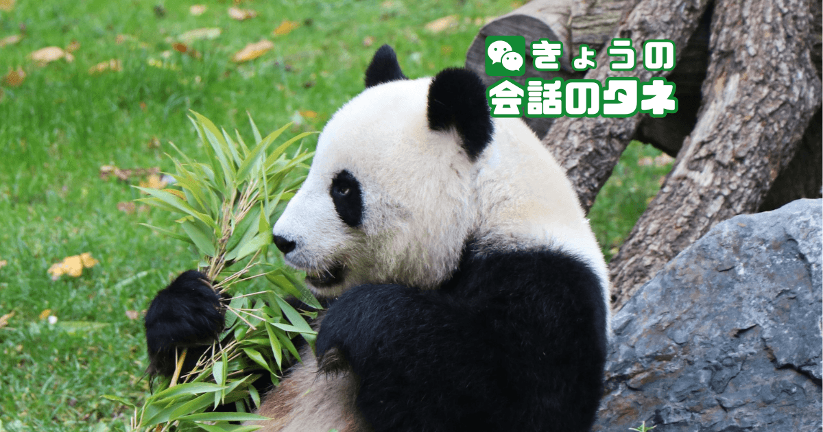 【きょうの会話のタネ|2026/3/18】 テーマ:好きな動物