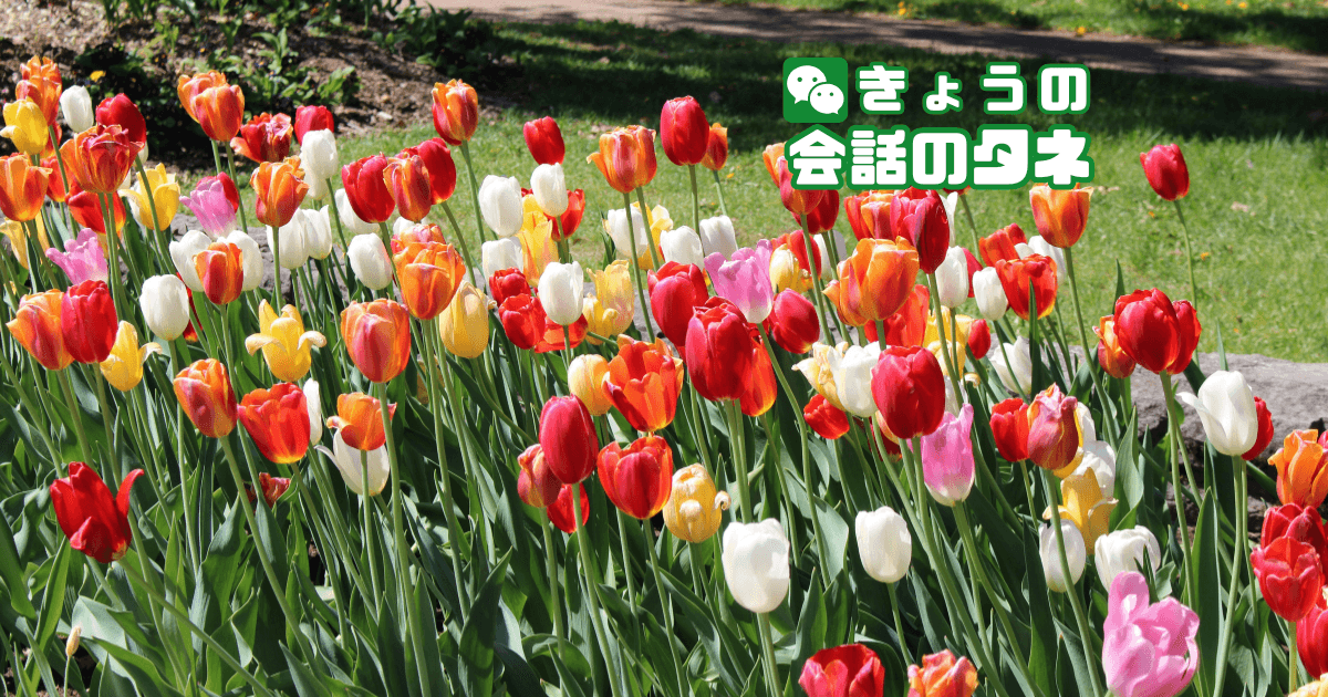 【きょうの会話のタネ|2026/4/24】 テーマ:育てたことがある植物・庭の思い出