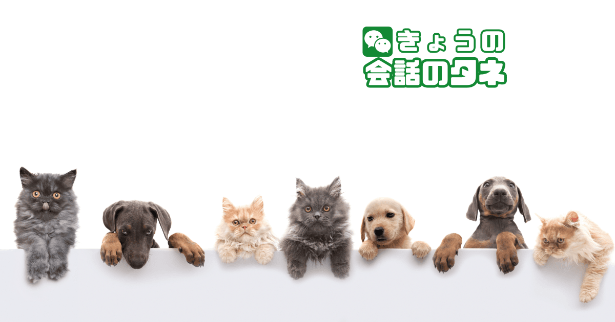 【きょうの会話のタネ|2026/5/13】 テーマ:飼ったことがある動物の思い出