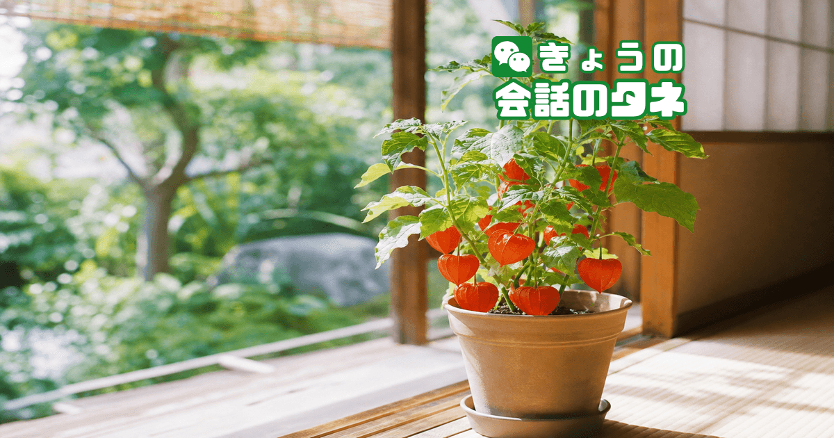 【きょうの会話のタネ|2026/7/9】 テーマ:夏の鉢植え・ほおずき