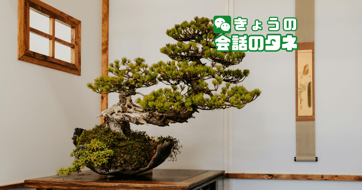 【きょうの会話のタネ|2026/8/20】テーマ:好きな盆栽・鉢植え