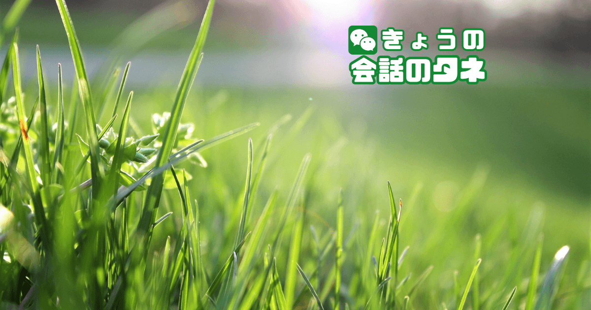 【きょうの会話のタネ|2026/9/3】 テーマ:草の日