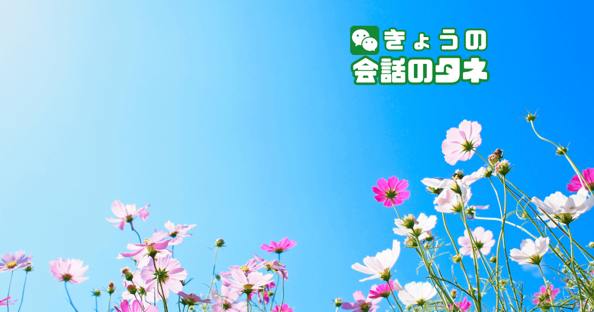 【きょうの会話のタネ|2026/9/14】 テーマ:コスモスの日